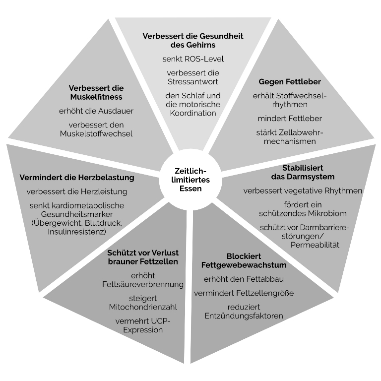 Grafik: Zeitlich limitiertes Essen
