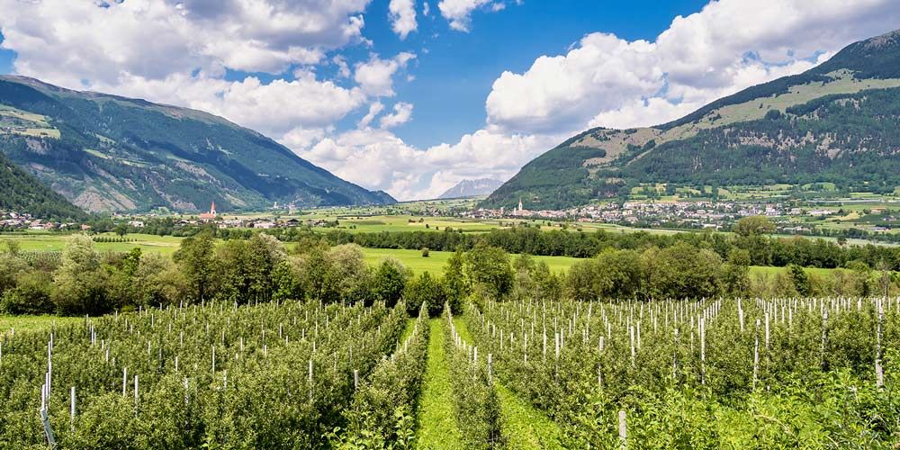 Das Vintschgau zu Fuss, per öV oder Velo entdecken